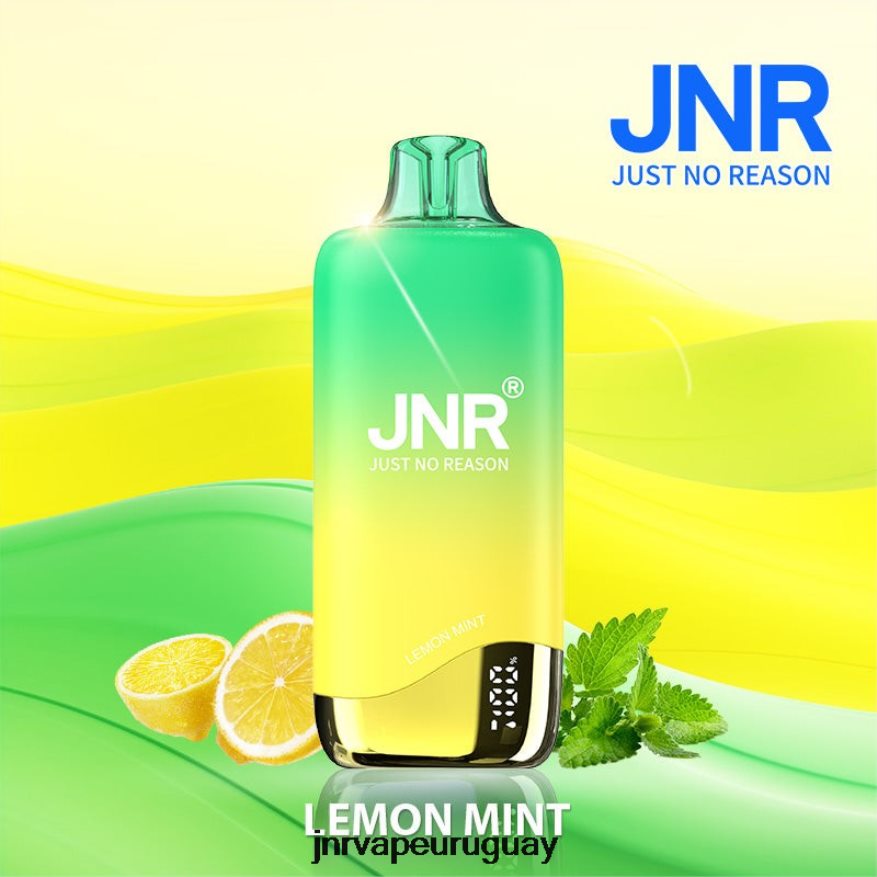 arcoiris jnr menta Limón J4NP8T257 -JNR Vape Price