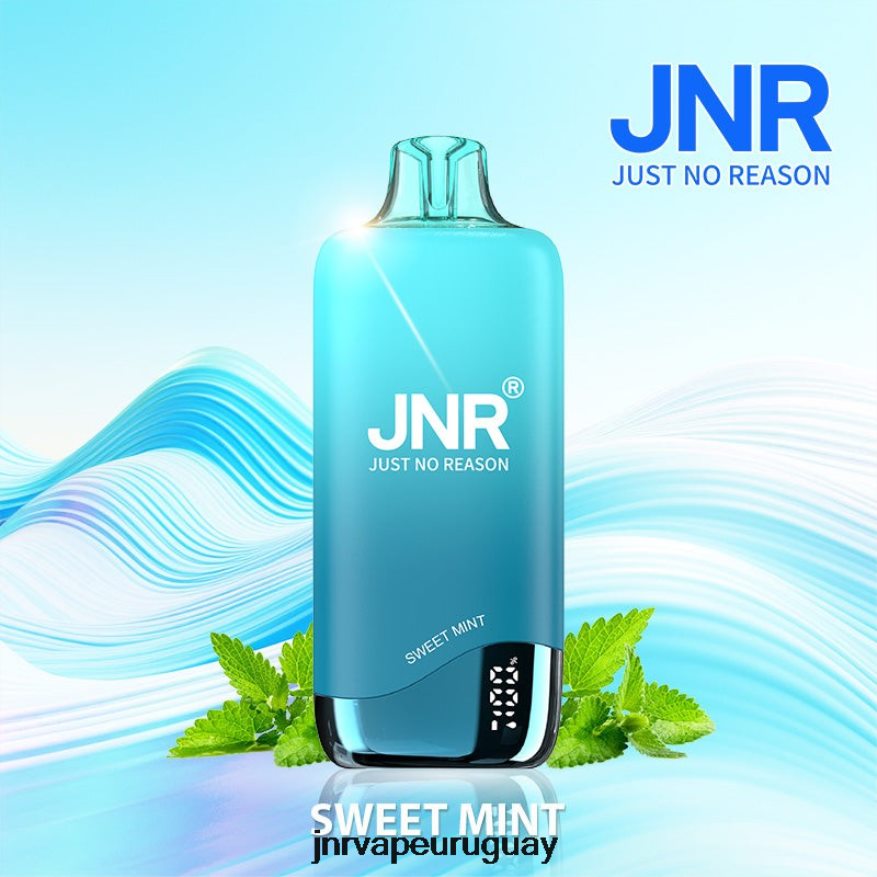 arcoiris jnr menta dulce J4NP8T269 -JNR Vape Montevideo