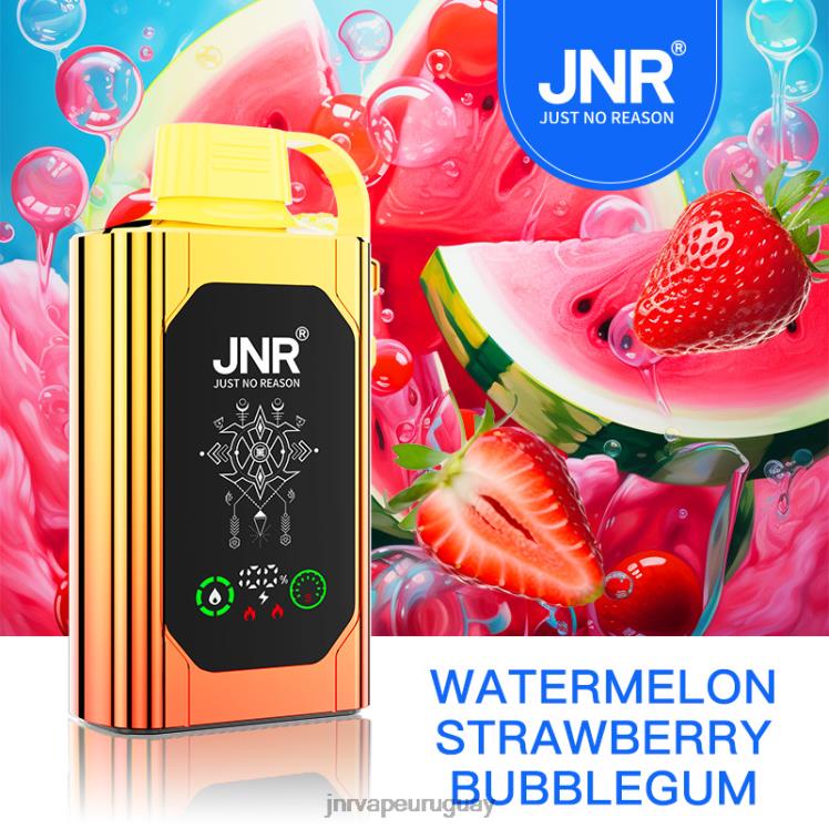 JNR SHISHA caja sandía fresa chicle 4HZ8V86 - JNR Vape Uruguay