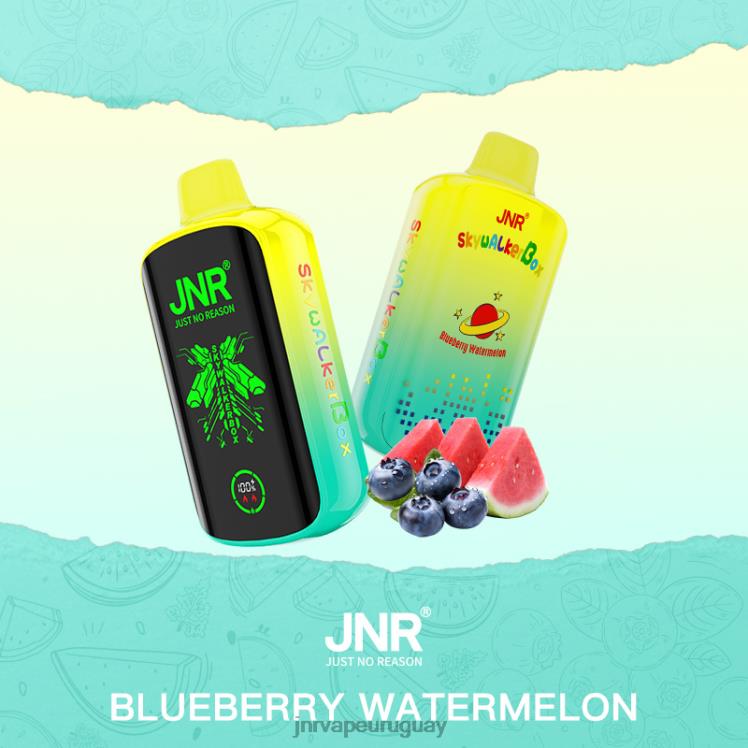 JNR SKYWALKER caja sandía de arándanos 4HZ8V41 - JNR Vape