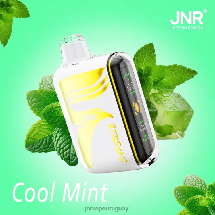 JNR cápsula menta fresca 4HZ8V62 - JNR Vape Nicotine