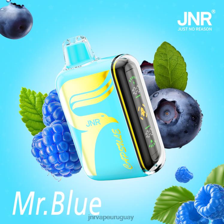 JNR cápsula señor azul 4HZ8V64 - JNR Vape Review
