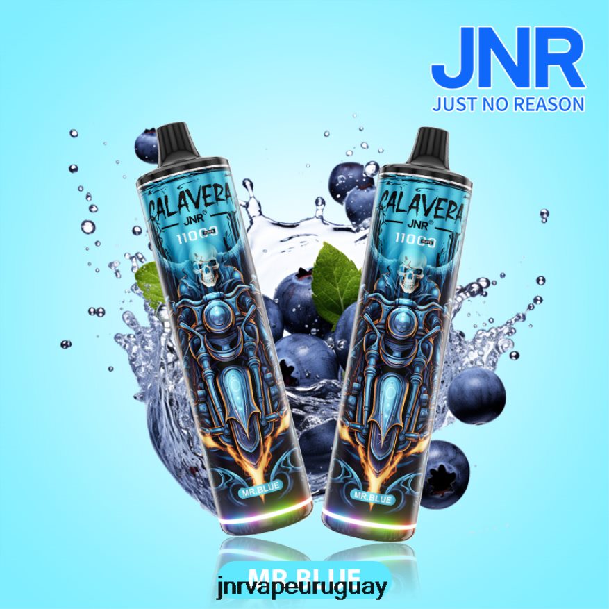 jnr calavera señor azul J4NP8T303 -JNR Vape Flavours