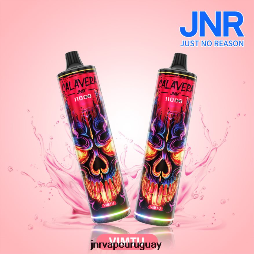 jnr calavera vimtu J4NP8T304 -JNR Vape Pods