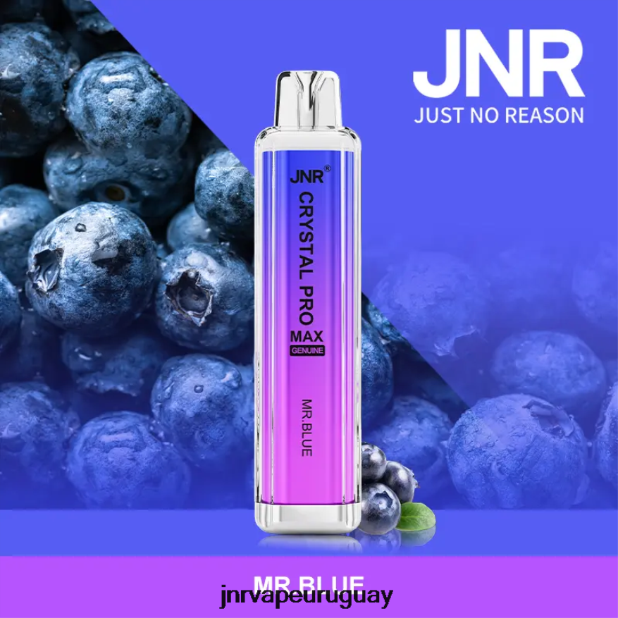jnr cristal promax señor azul J4NP8T313 -JNR Vape Flavours