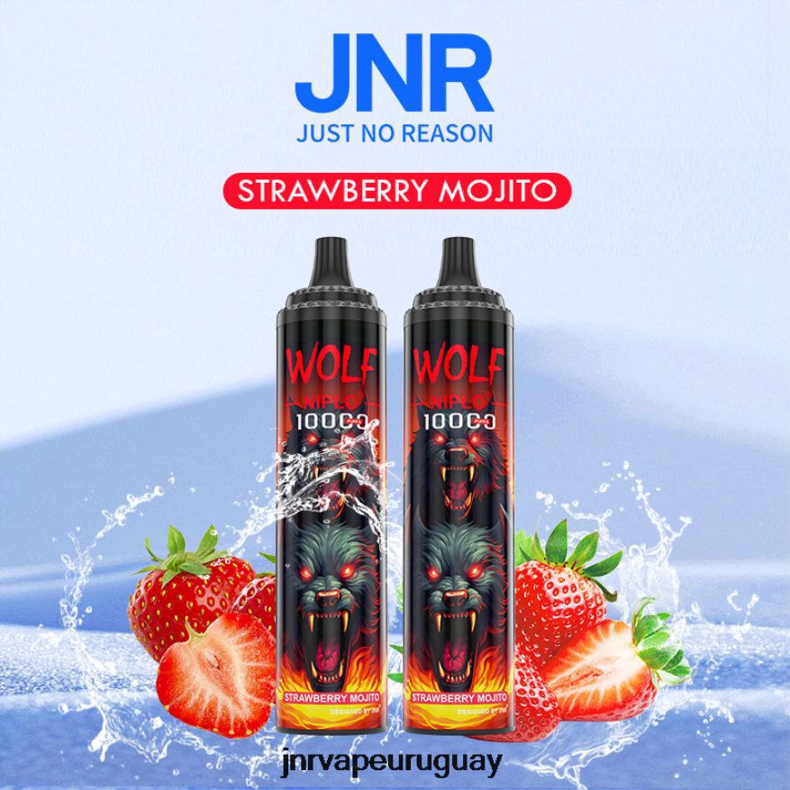jnr lobo niplo mojito de fresa J4NP8T355 -JNR Vape
