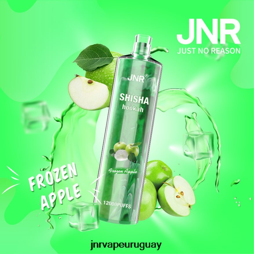 shisha jnr manzana congelada J4NP8T189 -JNR Vape Montevideo