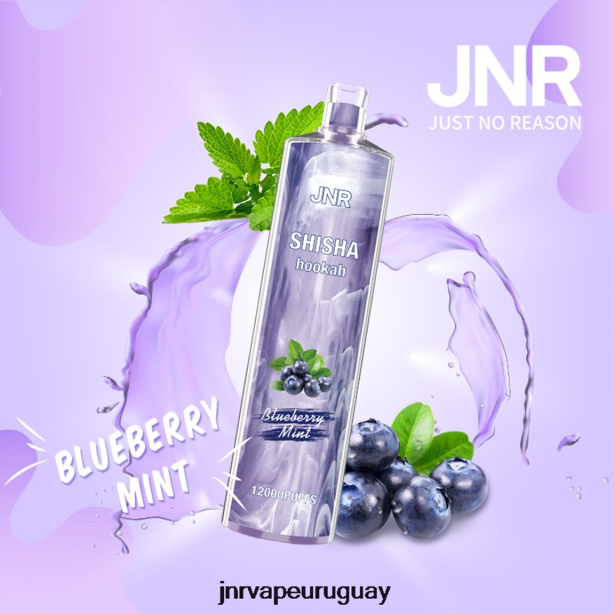 shisha jnr menta de arándanos J4NP8T172 -JNR Vapes Factory