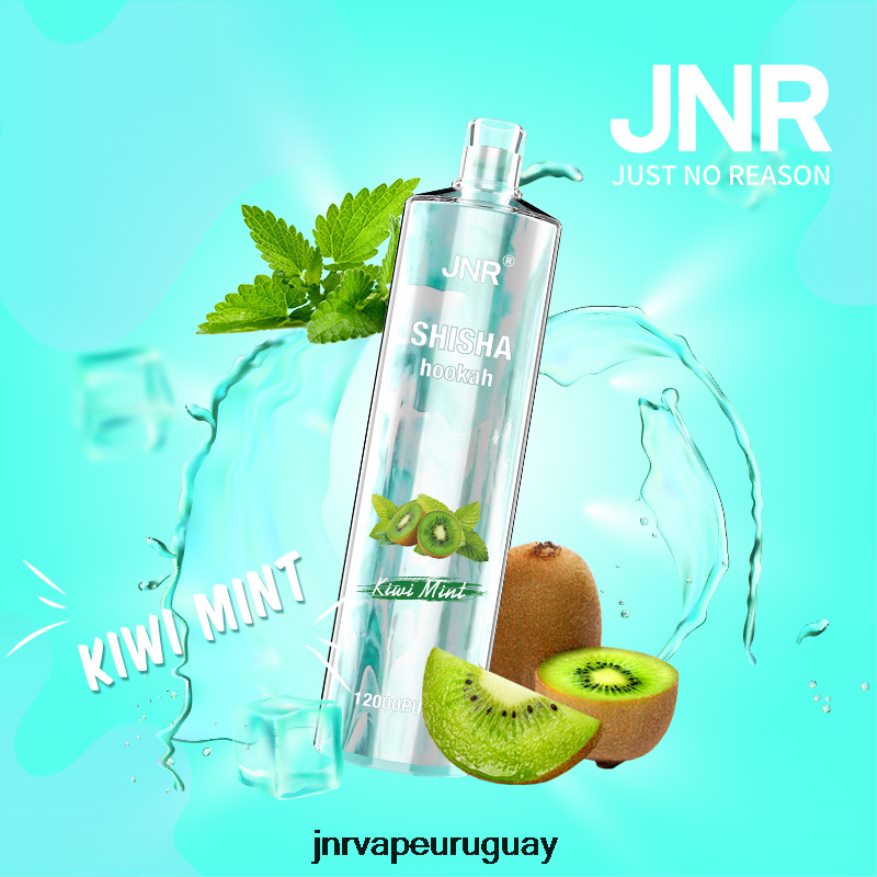 shisha jnr menta kiwi J4NP8T169 -JNR Vape Montevideo