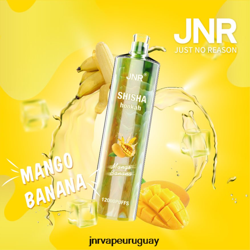 shisha jnr plátano mango J4NP8T165 -JNR Vape
