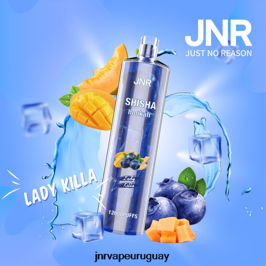 shisha jnr señora killa J4NP8T162 -JNR Vapes Factory